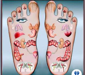 reflexologia 1